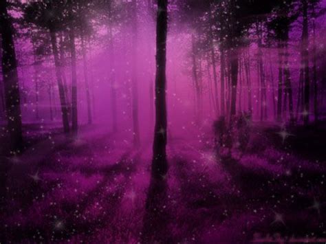 Purple Enchanted Forest Enchanted Forest Stargazing Colour Images