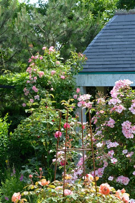 Öffnungszeiten von china garten china garten flötzerweg 10 | 4030 linz montag bis mittwoch von 11:30 bis 14:10 und von 17:00 bis 22:30 donnerstag ruhetag freitag bis sonntag von 11:30 bis 14:10 und von 17:00 bis 22:30 jetzt online essen bestellen. Der "verborgene Garten" in Südlohn - Hotel Südlohner Hof ...