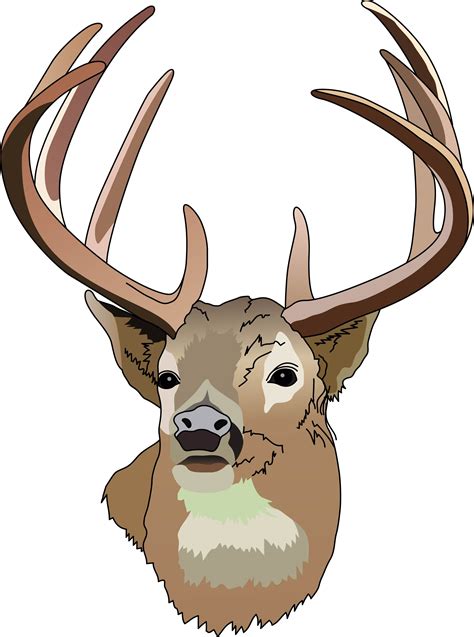 Deer Vector Art Clipart Best
