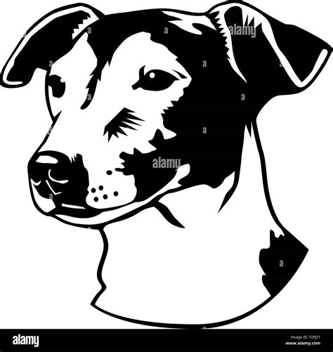 Jack Russell Terrier Vector Illustration Stock Vector Image And Art Alamy