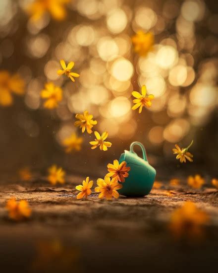 Creative Dp - Creative Photography Profile Pics Dp For ... Creative whatsapp dp quotes about life.