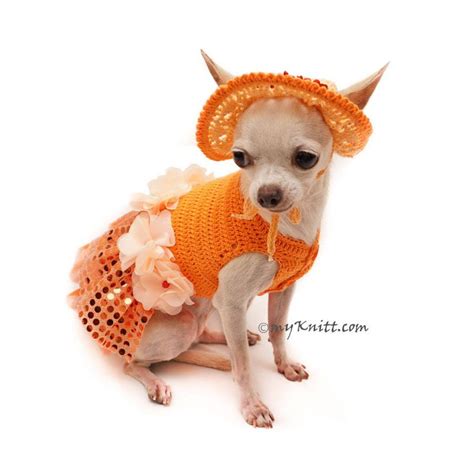 Bling Bling Orange Dog Dress Crochet Summer Hat Unique Etsy Dog