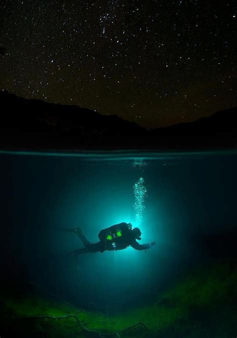 Night Diving Underwater Photography Underwater World Underwater