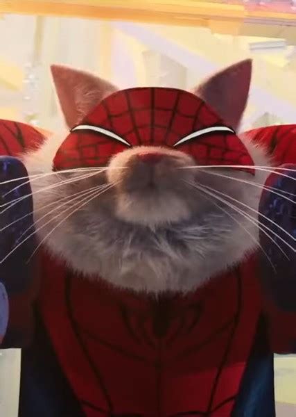 Spider Cat Across The Spider Verse Fan Casting