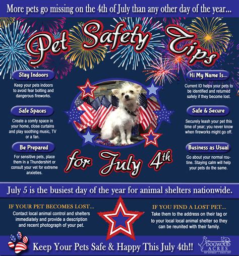 Keep Your Pets Safe And Happy This July 4th Dogwood Acres Pet Retreat