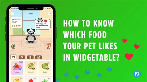 How to Know Which Food Your Pet Likes in Widgetable in 2023?
