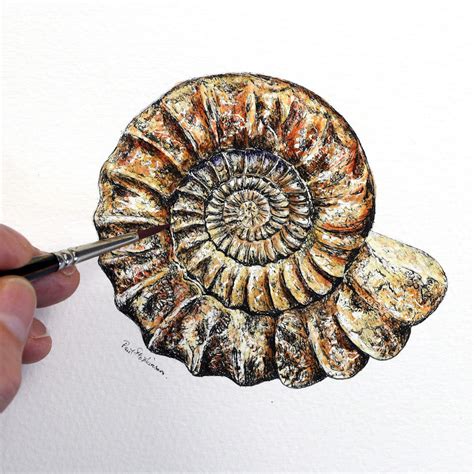 Pen And Wash Fossil Painting Using Ink And Watercolour The Devon Artist