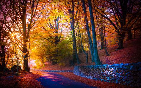 Beautiful Autumn Mac Wallpaper Download Allmacwallpaper