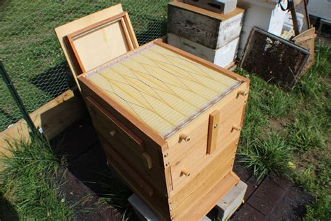 Diy Flow Beehive Box Plans Langstroth 10 Frame Beekeeping Etsy Bee