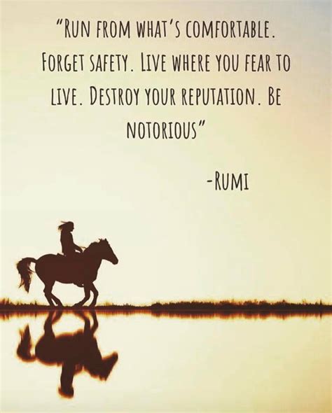 Run From Whats Comfortable Forget Safety Live Where You Fear To Live