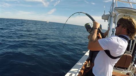 Catching An Amberjack Is Impossible Offshore Saltwater Fishing In