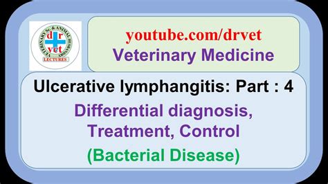 Ulcerative Lymphangitis Part 4 Differential Diagnosis Treatment