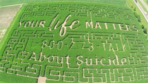Famers Use 11 Acre Corn Maze To Share Suicide Hotline Cnn Video