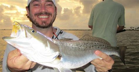 Mississippi Gulf Coast Fishing Reports And Forecasts Archives Coastal