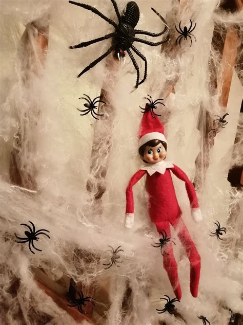 elf on the shelf trapped in a spiders web elf on the shelf girl elf elf