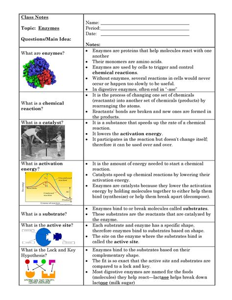 Enzymes Bio Chem Unit - Class Notes Topic: Enzymes Questions/Main Idea