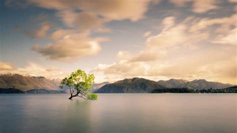 Wanaka Wallpapers Photos And Desktop Backgrounds Up To 8k 7680x4320
