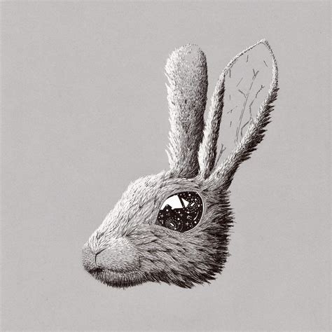Space Rabbitgoing Wild Seriesfine Art Print Maxedrealities Fine Art