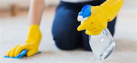 How To Spot Clean A Carpet Heavens Best Carpet Cleaning