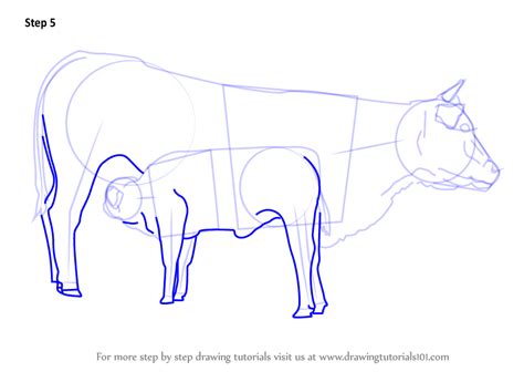 With just a few pencil strokes you will be finishing up your cartoon style with brand new resources added on weekly basis you will never run out of fun things to make with your kids (either as a parent or as a teacher). Learn How to Draw Cow And Young Calf (Farm Animals) Step ...