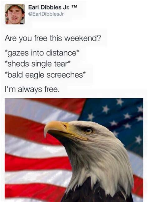 Usa Free Eagle Meme Funny Humour Fredom Veterans Day Quotes Usa Memes Happy Veterans