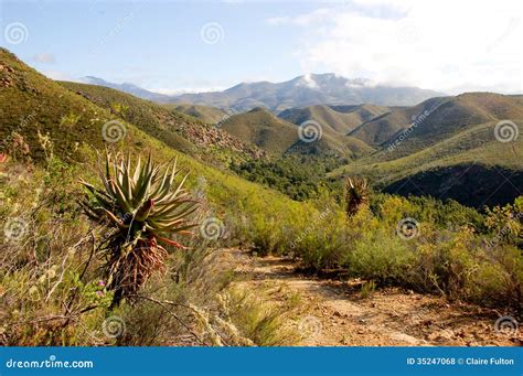 Baviaanskloof Mountains Stock Photo Image Of Landscape 35247068