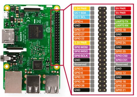 Raspberry Pi Gpio Pinout Demystified A Beginners Guide Aitechtrend Hot Sex Picture