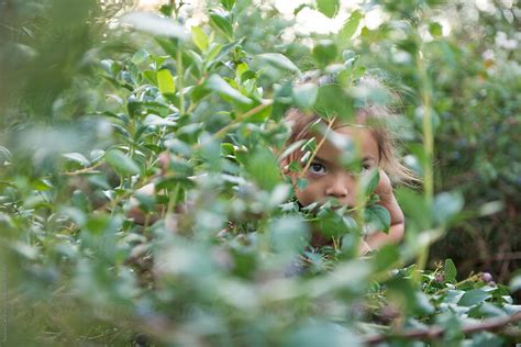 Girl Hiding In A Bush Del Colaborador De Stocksy Ronnie Comeau Stocksy