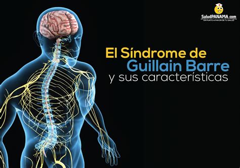 Office of communications and public liaison national institute of neurological disorders and stroke national. El Síndrome de Guillain Barre y sus características