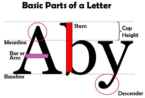 From the logo to use of shapes and lines, his strong uses of symmetry and harmony create. Typography Lettering Basics Lesson Plan and Worksheet ...