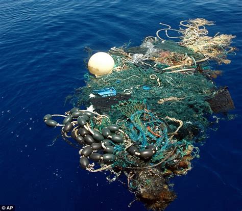 Shocking Graphics Reveal The Garbage Patches In Oceans Daily Mail Online