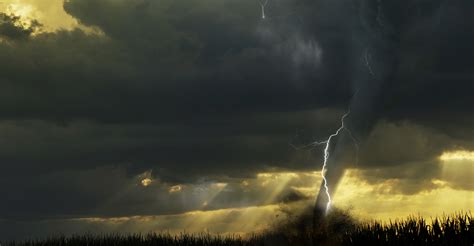 Experts say a tornado may be to blame. Tornado or Extreme Storm - Natural Disaster Business ...