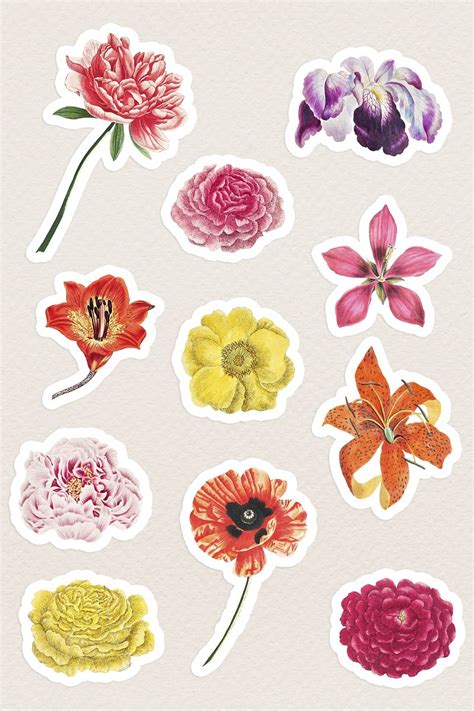 Vintage Flower Sticker Collection Premium Psd Rawpixel