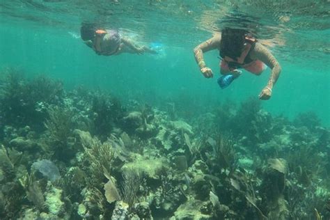 Tripadvisor Costa Maya Tour Snorkel And Beach Adventure Free Round