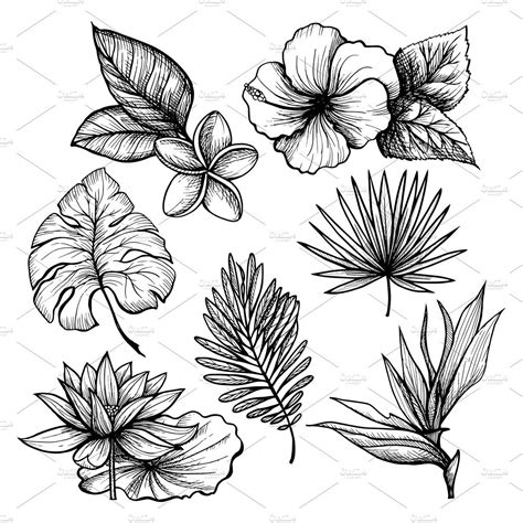 Hand Drawn Tropical Leaves Set Flower Drawing Tropical Flower Tattoos Flower Sketches