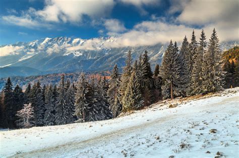 Magical Winter Landscape And High Snowy Mountainscarpathiansromania