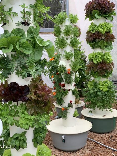 Is Tower Garden A Hydroponic Tower Vertical Hydroponics