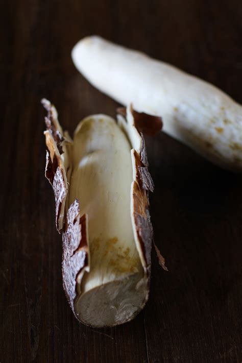 Maybe you would like to learn more about one of these? How to Cook Yucca Root