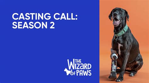 There is an app on my phone and i highly recommend this along with countless parents, professionals and family law experts who have all. Casting Call: The Wizard of Paws Season 2 - BYUtv