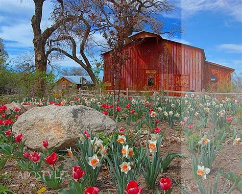 Pin By Lauri Steerman On Road Trip Travel New Mexico Botanical