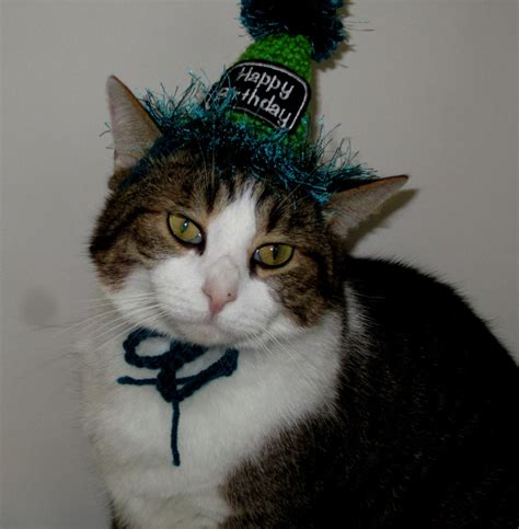 Crocheted Cat Birthday Party Hats