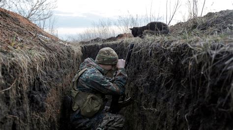 In Ukraines Trenches Strays Bring Respite To Russia Wary Troops