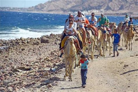 جمعية مسافرون 2020 سيكون عام السياحة المصرية بوابة أخبار اليوم