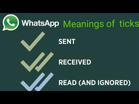 What do the ticks mean on whatsapp? Meaning of ticks in whatsapp - YouTube