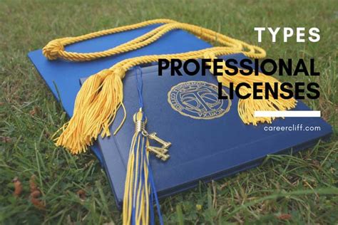 Types Of Professional Licenses What Are Some Professional Licenses