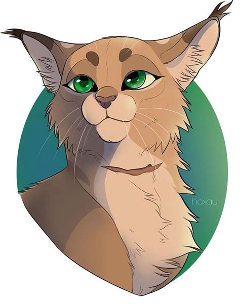 Warrior cat cats oc drawings erin drawing johnson furry psycho character anime magic animal draw sketches reference finished another references. PureSpiritFlower, my mentor | YouTube people | Warrior cat ...