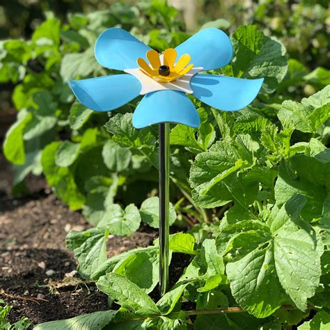 'flowers for algernon' is a great story, the story of charlie and the changes he goes through spoke to me. Buy Nottinghamshire Hospice Forget-Me-Not Flowers — The ...