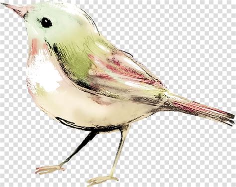 Watercolor Bird Png Clip Art Library