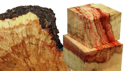 Box Elder Is A Great Wood For Turning As The Grain Is Fine And The