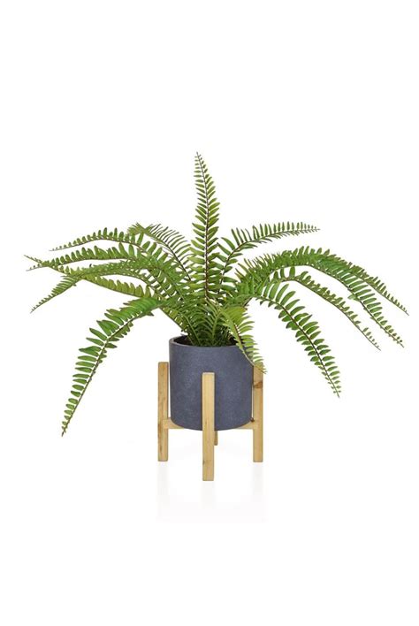 20 years designing indoor & outdoor home & garden accents. Mini Artificial Potted Fern